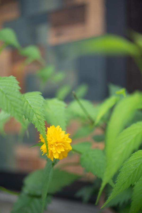 六根ゲストハウス Rokkon Guest House Kyoto Buitenkant foto